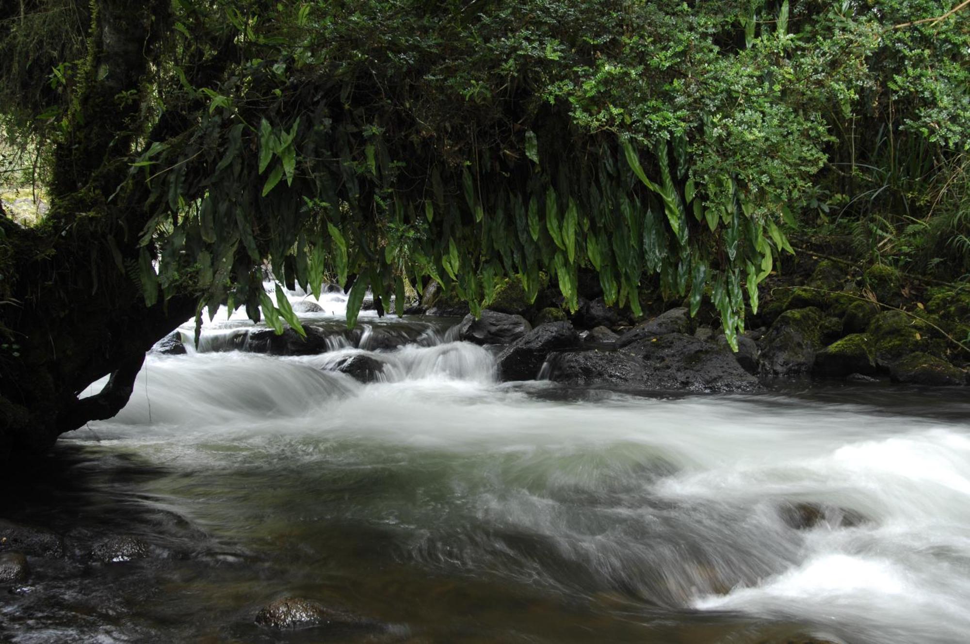 Termas De 5*